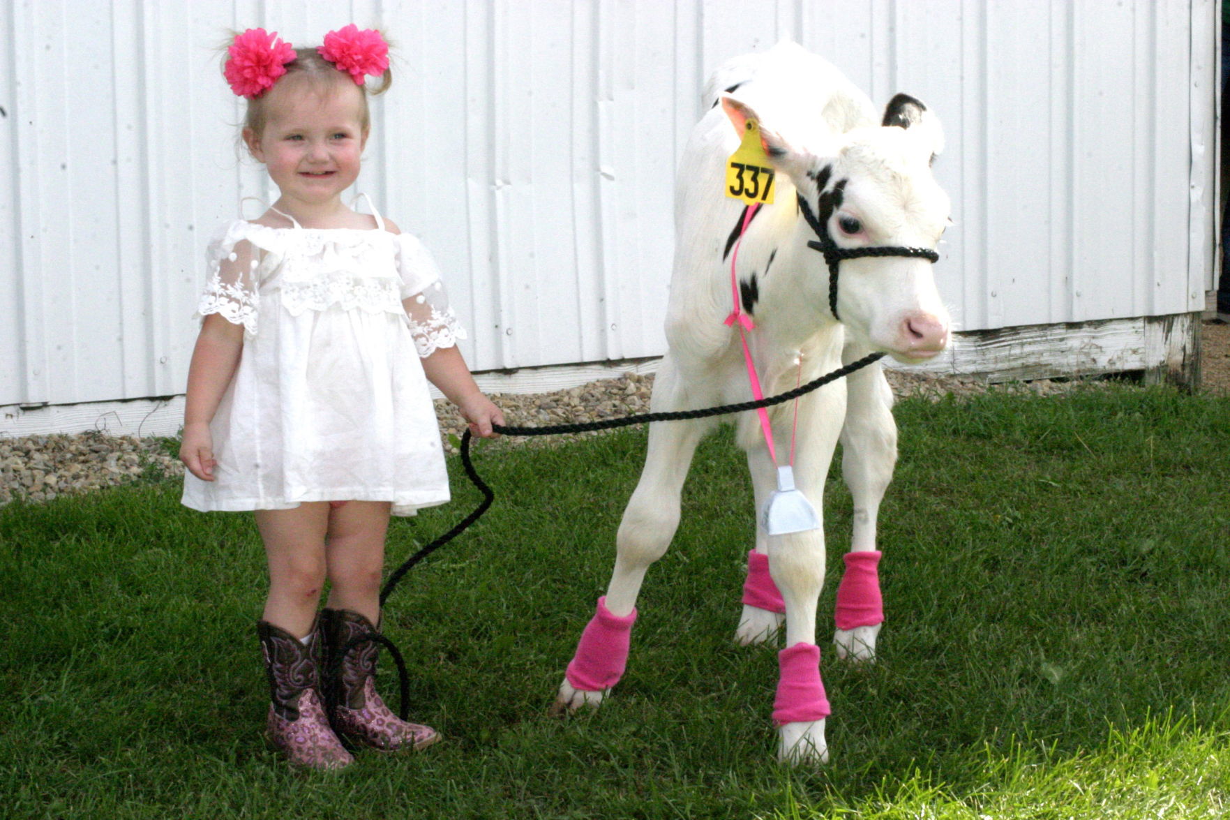 Little Britches Beauties